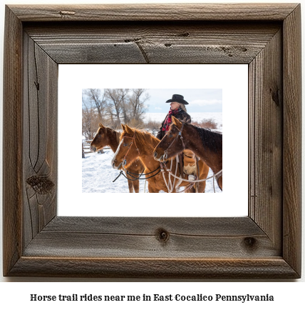 horse trail rides near me in East Cocalico, Pennsylvania